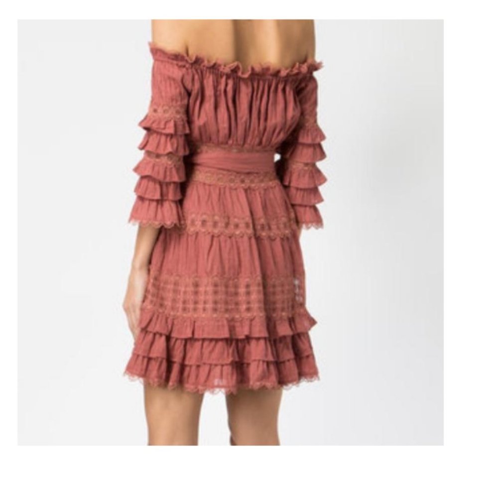 Zimmermann Ruffled Lace Mini Dress in Rust - Picture 3 of 8